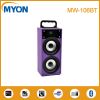 Shiny LED Portable Woo...