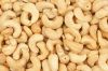 Cashew Nuts 