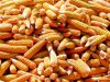 Premium Quality Grade 1 Garins For Sale Yellow Corn/Maize, Wheat, Rice, Barley, Quinoa 