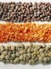 Quality Kidney beans, Mung beans, Soybeans, Lentils, Chickpeas and Other Beans Products For Sale