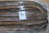 FROZEN CONGER EEL FISH