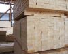 Square edged timber (pine,  spruce and etc.)