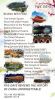 travel agency in china