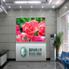 2016 New LED Module P6...