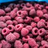 Real Red Raspberries