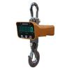 Crane scale, hanging scale, direct-view crane scale, hook weighing scale