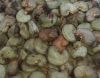 cashew nuts