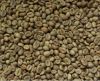 Robusta Lampung Green ...