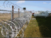 razor wire fence