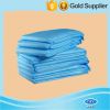 Fast Delivery High Quality Disposable Underpad Manufacturer from China