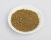 Pure Natural Herbal Extract Rosemary Extract Powder