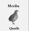 Quail products, eggs -...