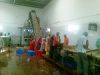 Mango Processing Machi...