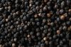Black Pepper 