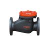 Iron steel/Carbon steel/Stainless Steel Swing check valve