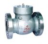 check valve