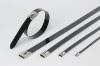 Stainless Steel Epoxy Coated Cable Tie-Ball Lock Type