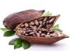 Cocoa Beans