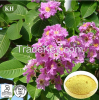 Banaba Leaf Extract