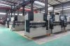 Hot!!! High Quality Hydraulic Press Brake (WC67Y)