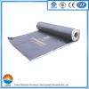 CNPW SBS APP WATERPROOF MEMBRANE