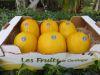 Melon Jaune Canaris by...