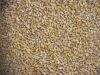 Pearl Barley
