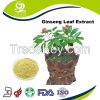 Ginseng Leaf Extract Ginsenosides UV 80%