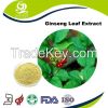 Ginseng Leaf Extract Ginsenosides 40% HPLC