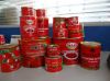 Canned Tomato Paste Sachet Tomato Paste  Tomato Sauce Tomato Puree Tomato Ketchup