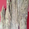 agarwood chip, oud chi...