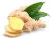 Ginger Root/ Powder