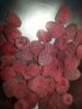 Red Raspberries