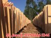 1.7mm Eucalyptus wood veneer,cheap wood core veneer