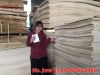 Packing plywood BC cheap price for sale