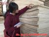 Packing plywood BC cheap price for sale