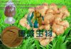 Ginger Extract,Black g...