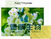 Free Sample nature rut...