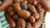SHEA NUTS