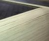 China manufacturer top quality 12mm film faced plywood