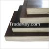 Film Faced Plywood Best by Dezhou Kuntai