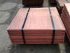 Electrolytic  Copper Cathode for sale /High Grade 99.99%   Copper Sheet Ãï¿½Ã¯Â¿Â½ÃÂ¯ÃÂ¿ÃÂ½Ãï¿½Ã