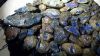 Blue amber ( Sample Av...