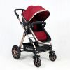 inexpensive luxury boys infant rose red recommended carriage