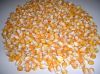 Yellow/White dry Corn ...