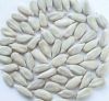 sunflower kernels(bake...