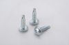 Self Drilling Screw