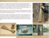 Raw Broom Grass Material