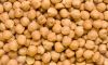 chickpeas