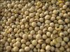 Soybeans